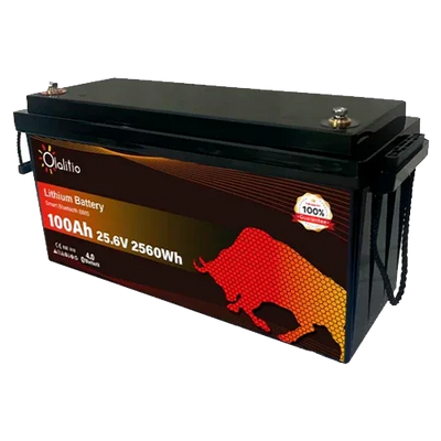 Lithium Battery 24V 100Ah Olalitio OLA-24-100-P Bluetooth