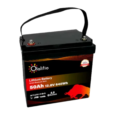 Lithium Battery 12V 50Ah Olalitio OLA-12-50 Bluetooth