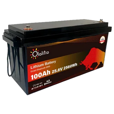 Lithium Battery 24V 100Ah Olalitio OLA-24-100-P Bluetooth